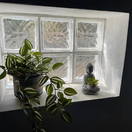 Loris'house * Drymon