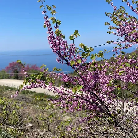 Loris'house Prázdninový dům *